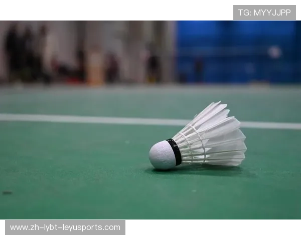 羽毛球唯美照片